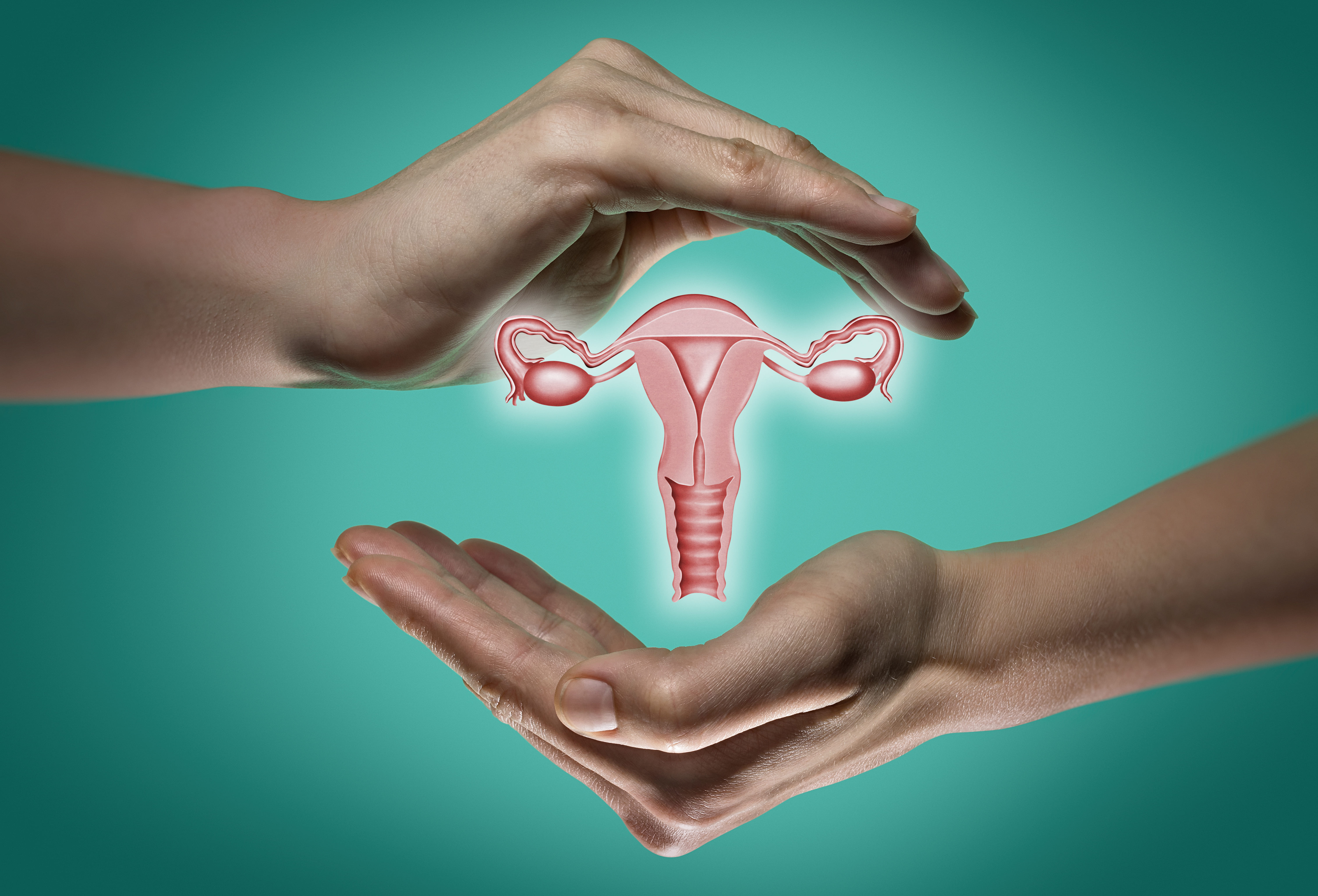 Important steps to maintain the health of your reproductive organs